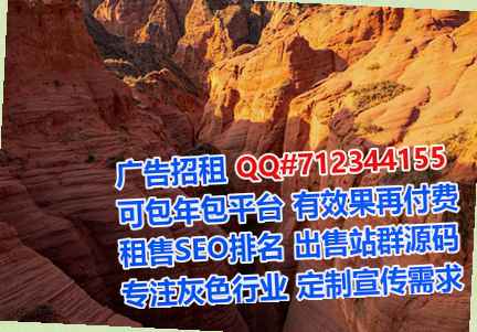 宁阳代母软件工作室